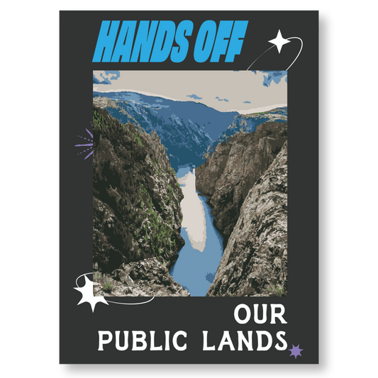 Hands Off Our Public Lands Poster
