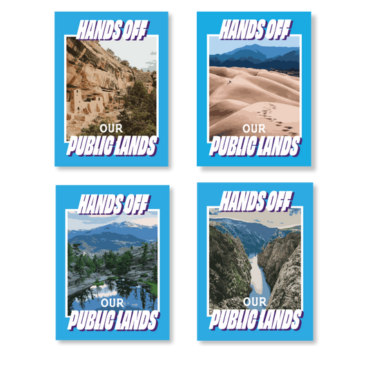 Hands Off Our Public Lands Poster - 4 Pack